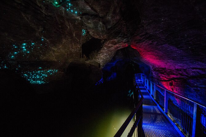 Waitomo Glowworm Caves and Kiwi House Small Group from Auckland - Why Waitomo makes a strong day trip from Auckland