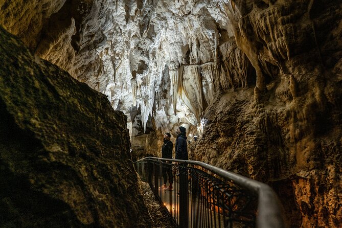 Waitomo Glowworm Caves and Kiwi House Small Group from Auckland - What the small group adds