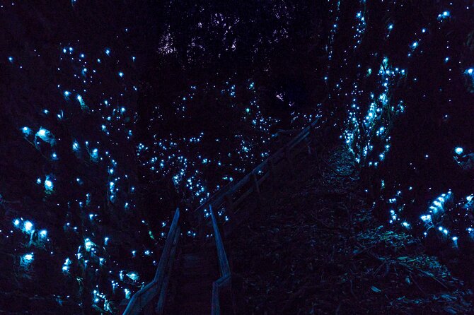 Waitomo Glowworm Caves In a Private Small Group Tour-Auckland. - A 9:00 am start and a private road trip