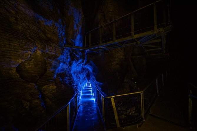 Waitomo Glowworm & Ruakuri Twin Cave Experience - Small Group Tour From Auckland - Why these caves are worth the long ride