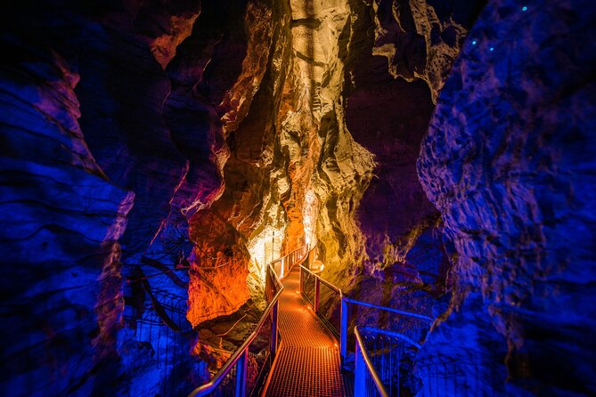 Waitomo Glowworm & Ruakuri Twin Cave Experience - Small Group Tour From Auckland - The 45-minute Waitomo Glowworm Cave visit