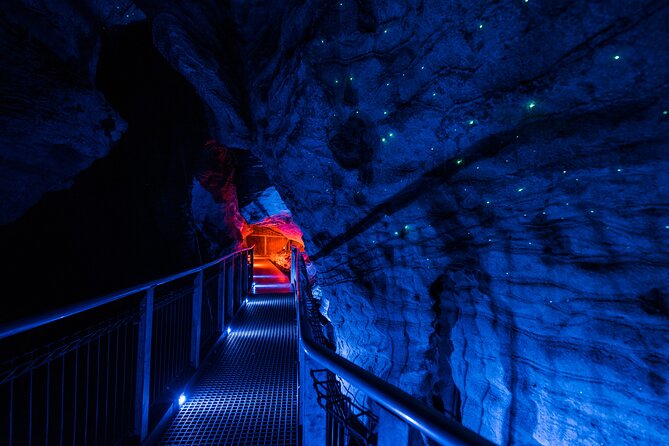 Waitomo Glowworm & Ruakuri Twin Cave Experience - Small Group Tour From Auckland - What the small group adds