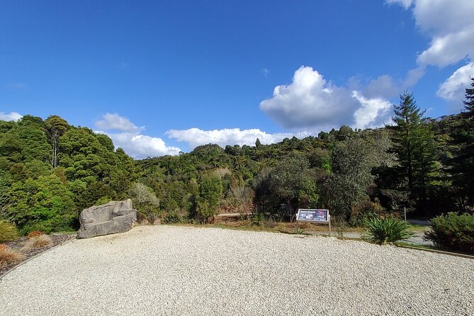 Waitomo Glowworm & Ruakuri Twin Cave Experience - Small Group Tour From Auckland - Coffee, comfort, and the Waikato route