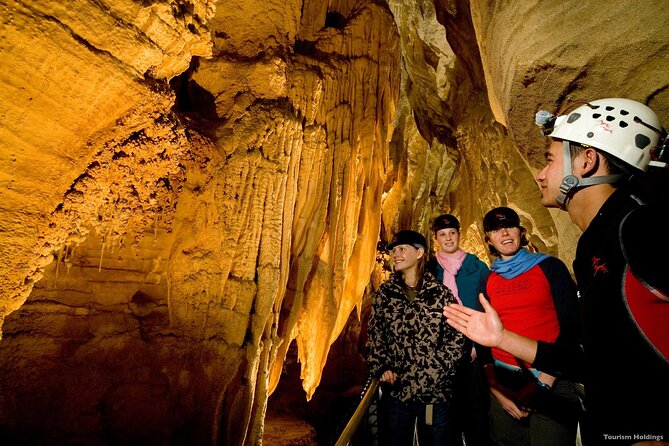 WAITOMO - Twin Caves Discovery - Private Day Tour from Auckland - Why seeing both Waitomo caves makes sense