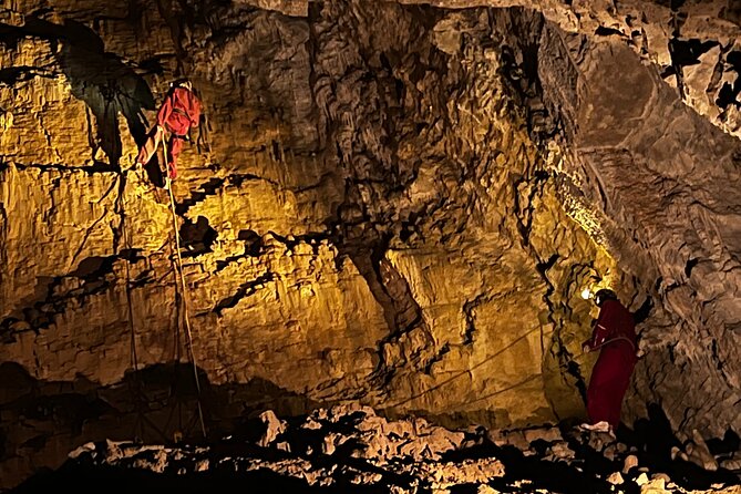 WAITOMO - Twin Caves Discovery - Private Day Tour from Auckland - The Giant Moa at Hangatiki
