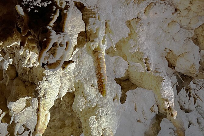 WAITOMO - Twin Caves Discovery - Private Day Tour from Auckland - The Glowworm Cave and its silent boat ride