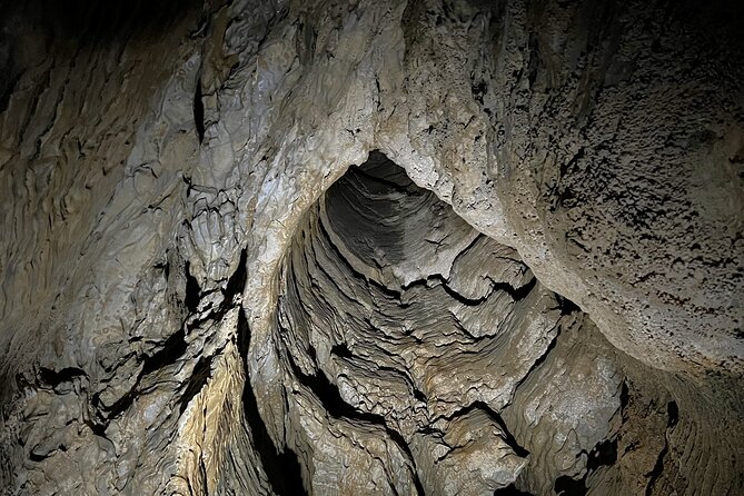 WAITOMO - Twin Caves Discovery - Private Day Tour from Auckland - Lunch and a pause at Waitomo Homestead