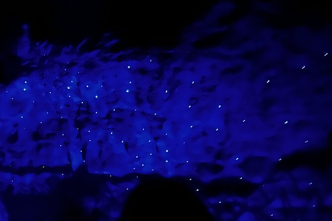 WAITOMO - Twin Caves Discovery - Private Day Tour from Auckland - Ruakuri Cave’s spiral entrance and underground walk
