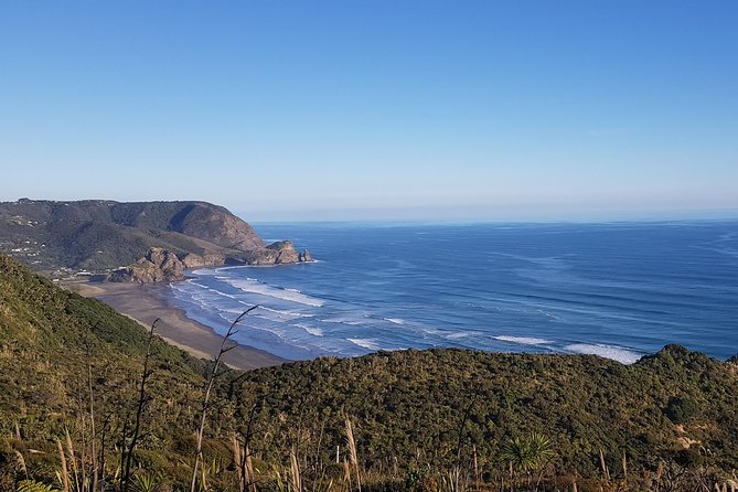 West Coast Discovery - Piha Beach or Muriwai Beach from Auckland - Leaving Auckland for the Waitakere Ranges