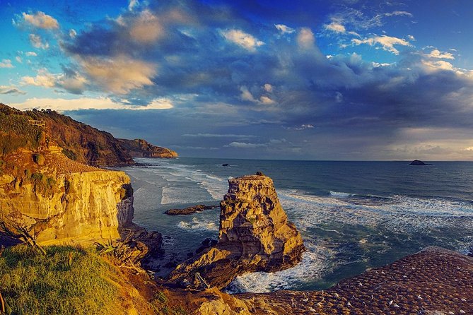 West Coast Discovery - Piha Beach or Muriwai Beach from Auckland - Why a private tour can be good value